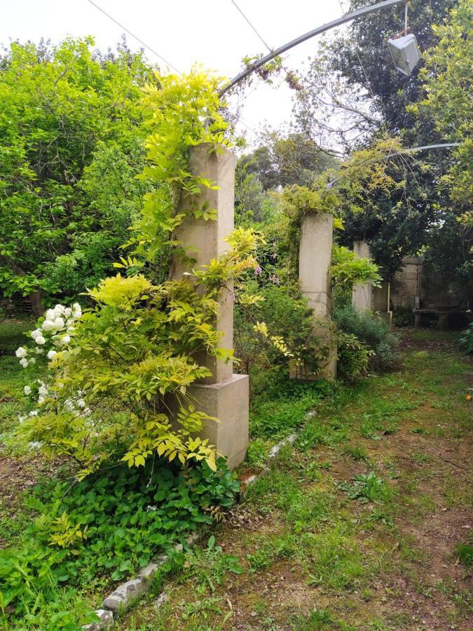Bed and Breakfast Aricelle Speziali Specchia Gallone Exterior foto
